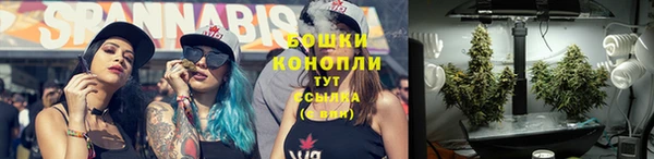 первитин Михайлов