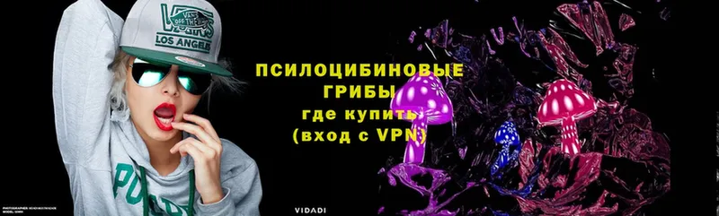 Псилоцибиновые грибы MAGIC MUSHROOMS  МЕГА tor  Жердевка 